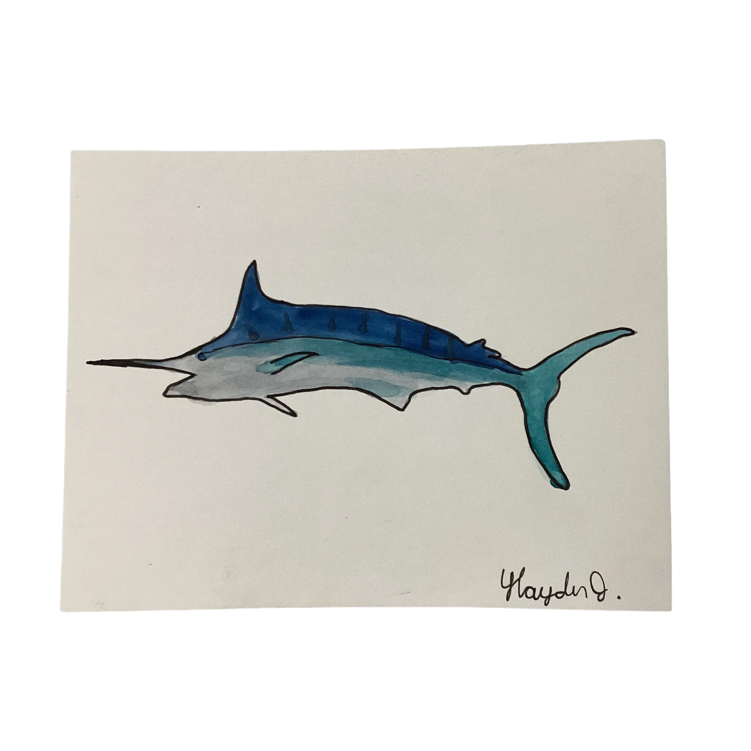 4.25"X5.5" MARLIN Postcard