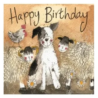 Alex Clark Collie Club Birthday Card