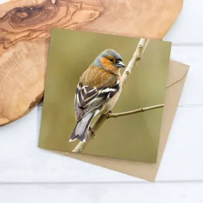 Chaffinch Greeting Card