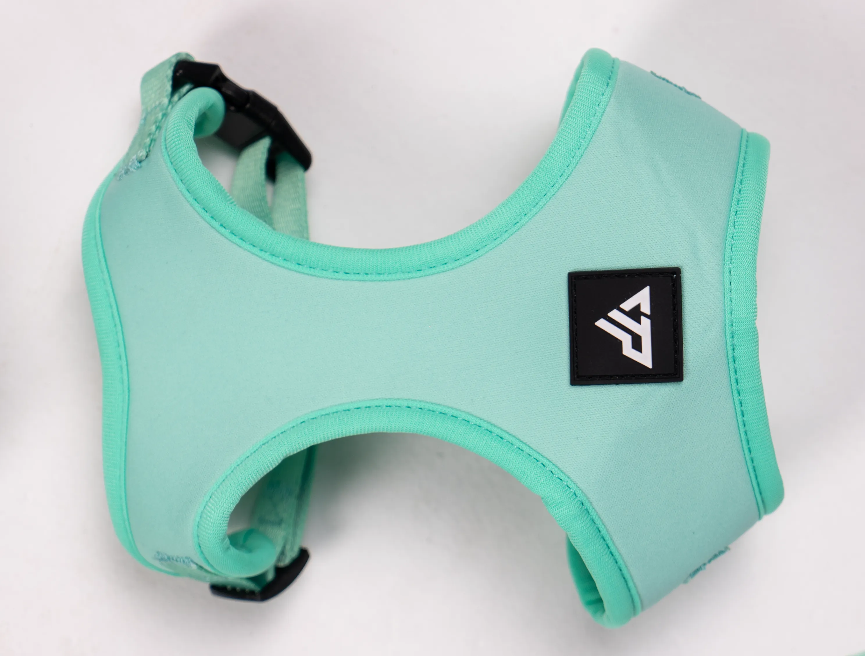 Doggy 4 Piece walking set - Mint