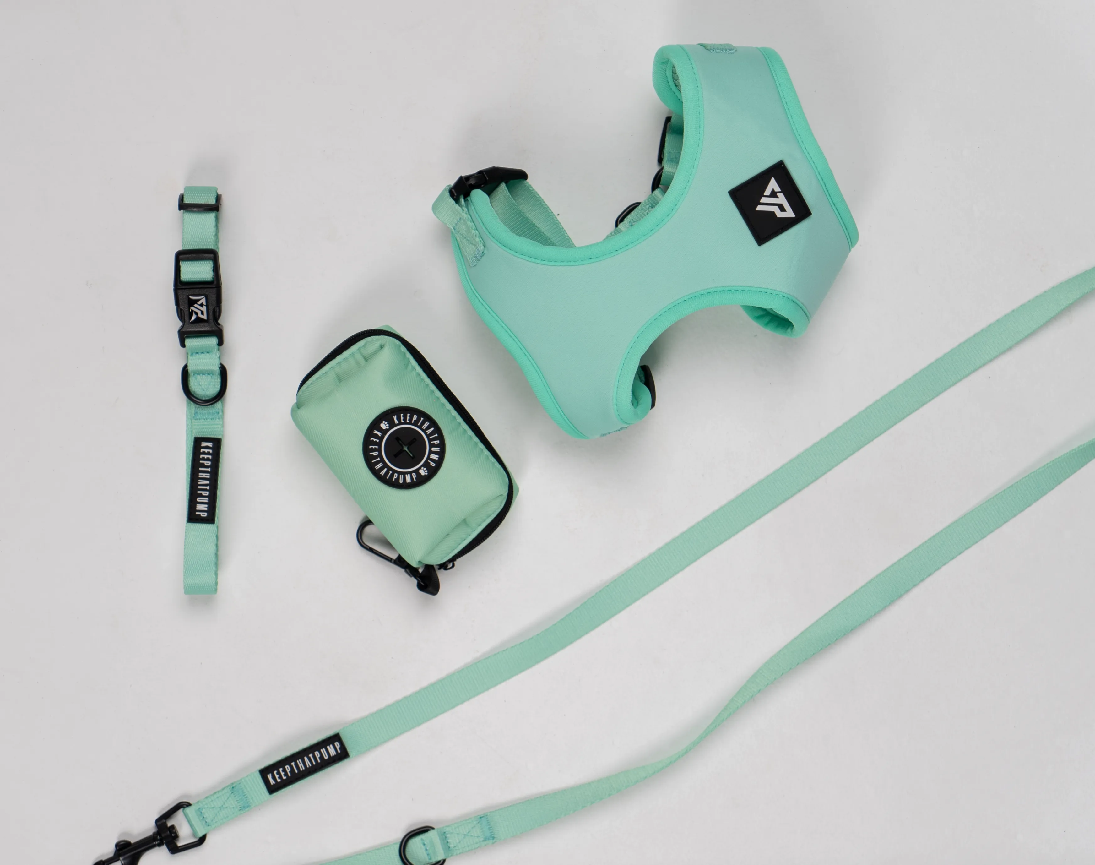 Doggy 4 Piece walking set - Mint