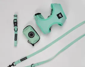 Doggy 4 Piece walking set - Mint