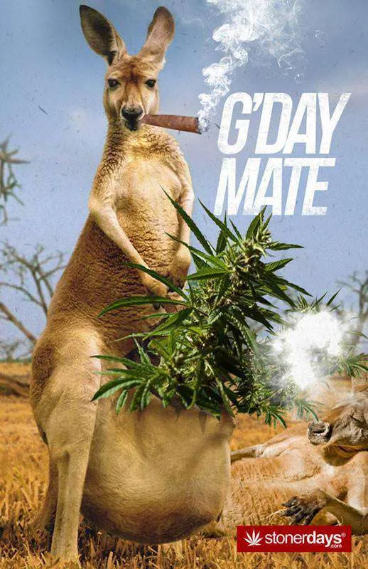 GDAY MATE HEMP CARDS