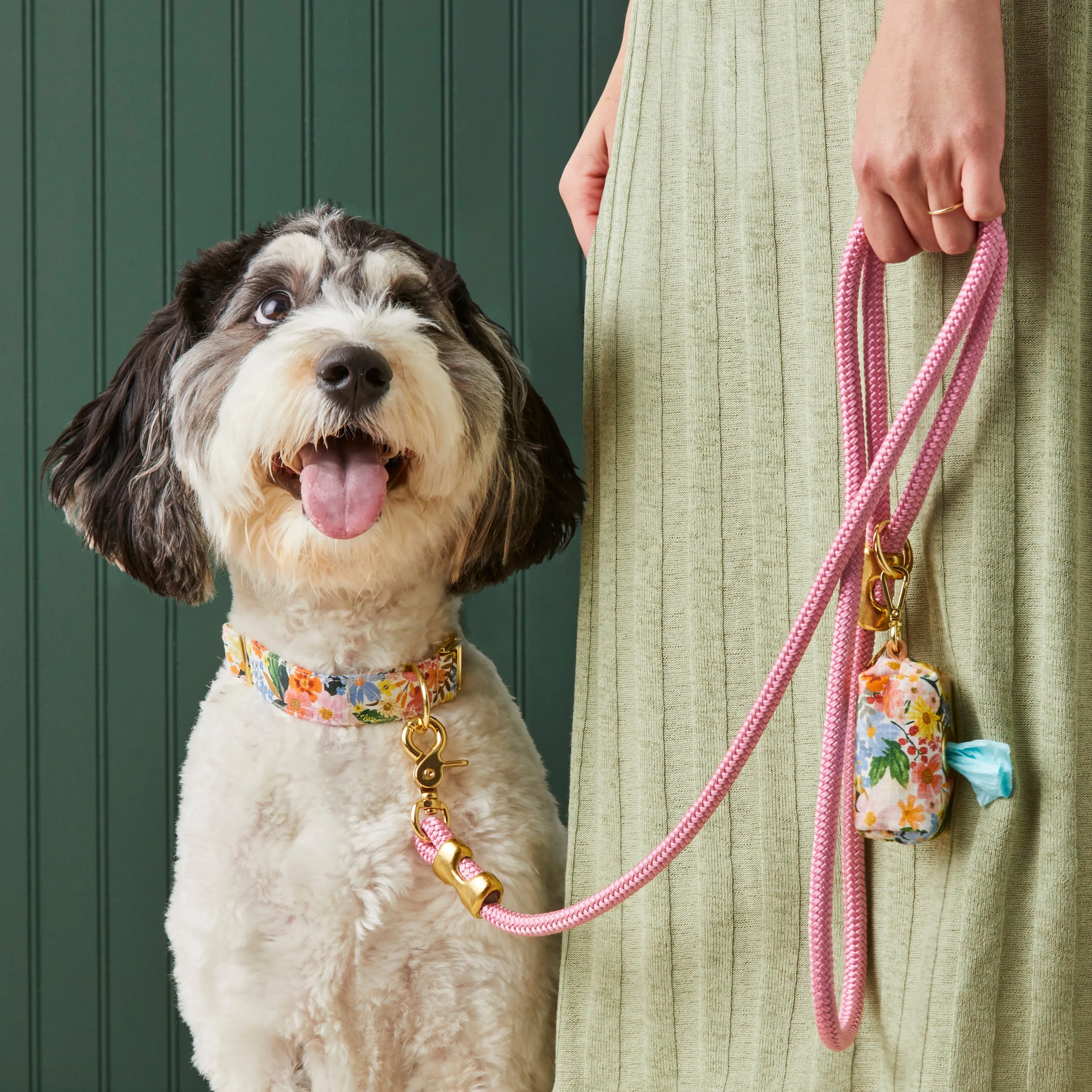 Rifle Paper Co. x TFD Marguerite Collar Walk Set