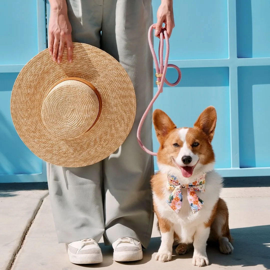Rifle Paper Co. x TFD Marguerite Collar Walk Set
