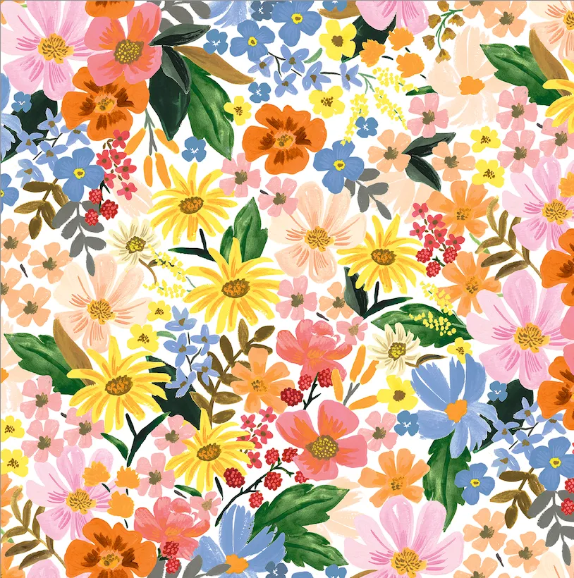 Rifle Paper Co. x TFD Marguerite Collar Walk Set